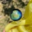 Small image 9