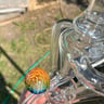 Small image 3