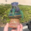Small image 0