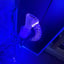 Small image 6