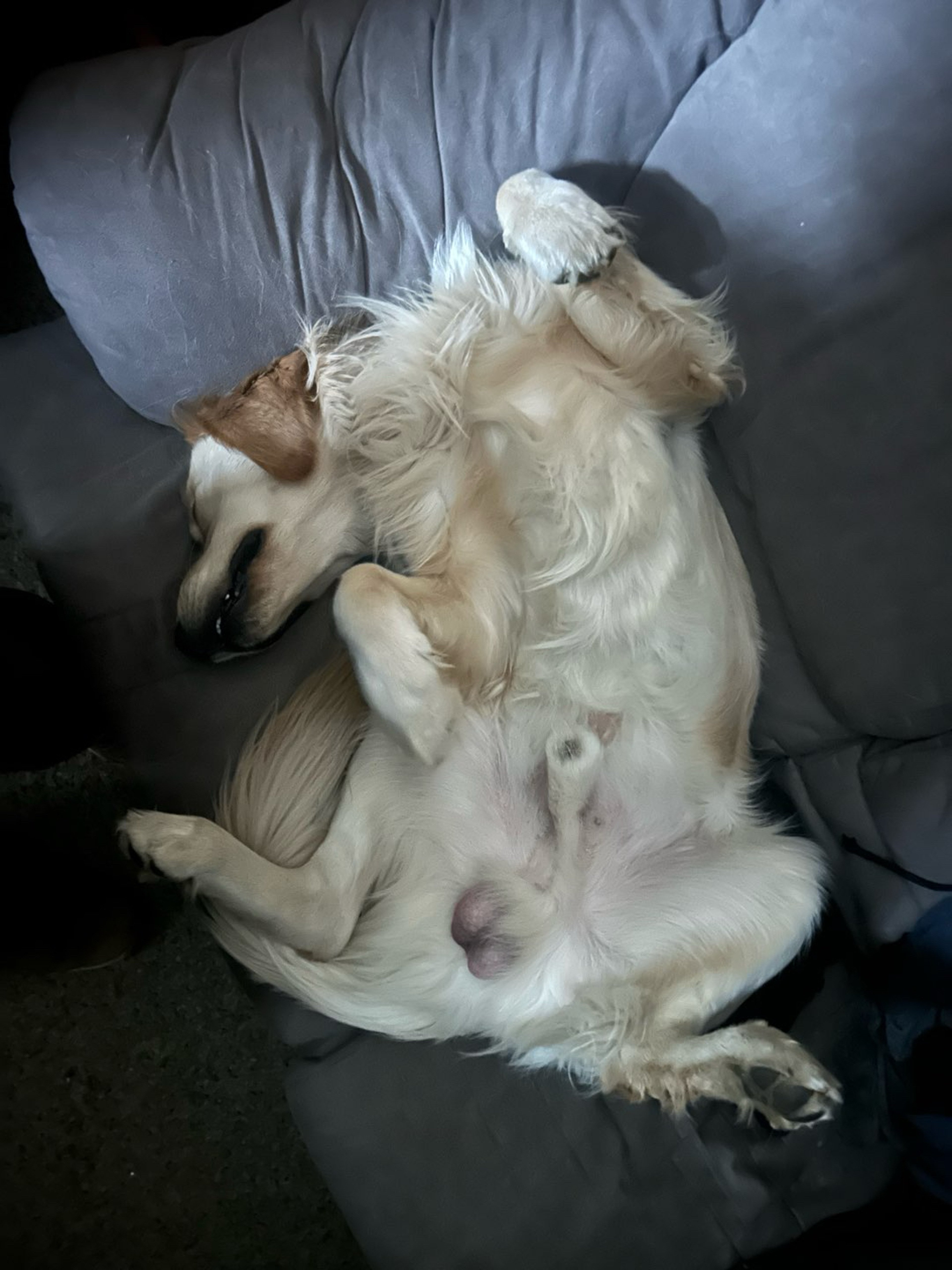 Preview pic of Swiss Tube