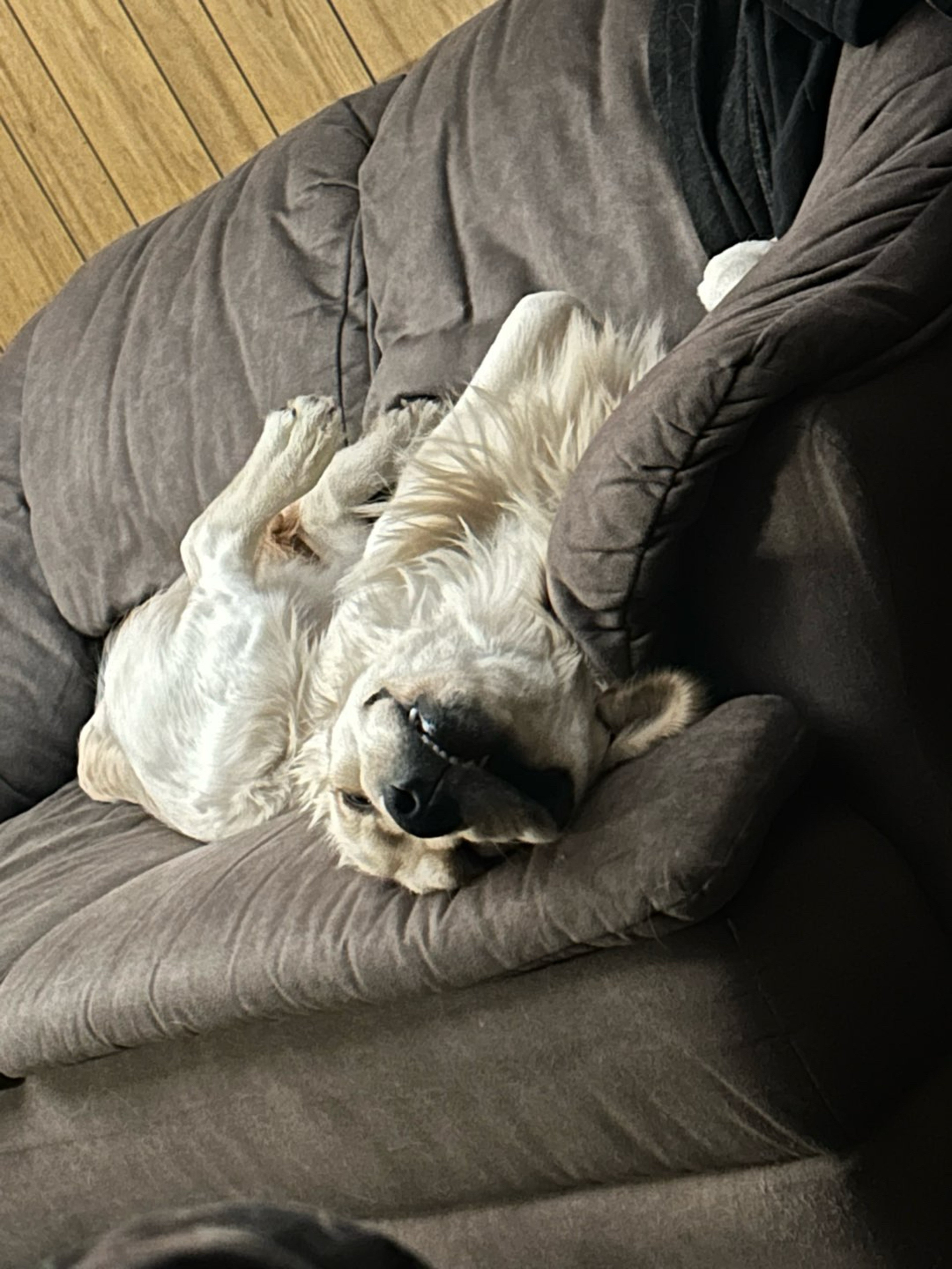 Preview pic of Sovereignty 50X5