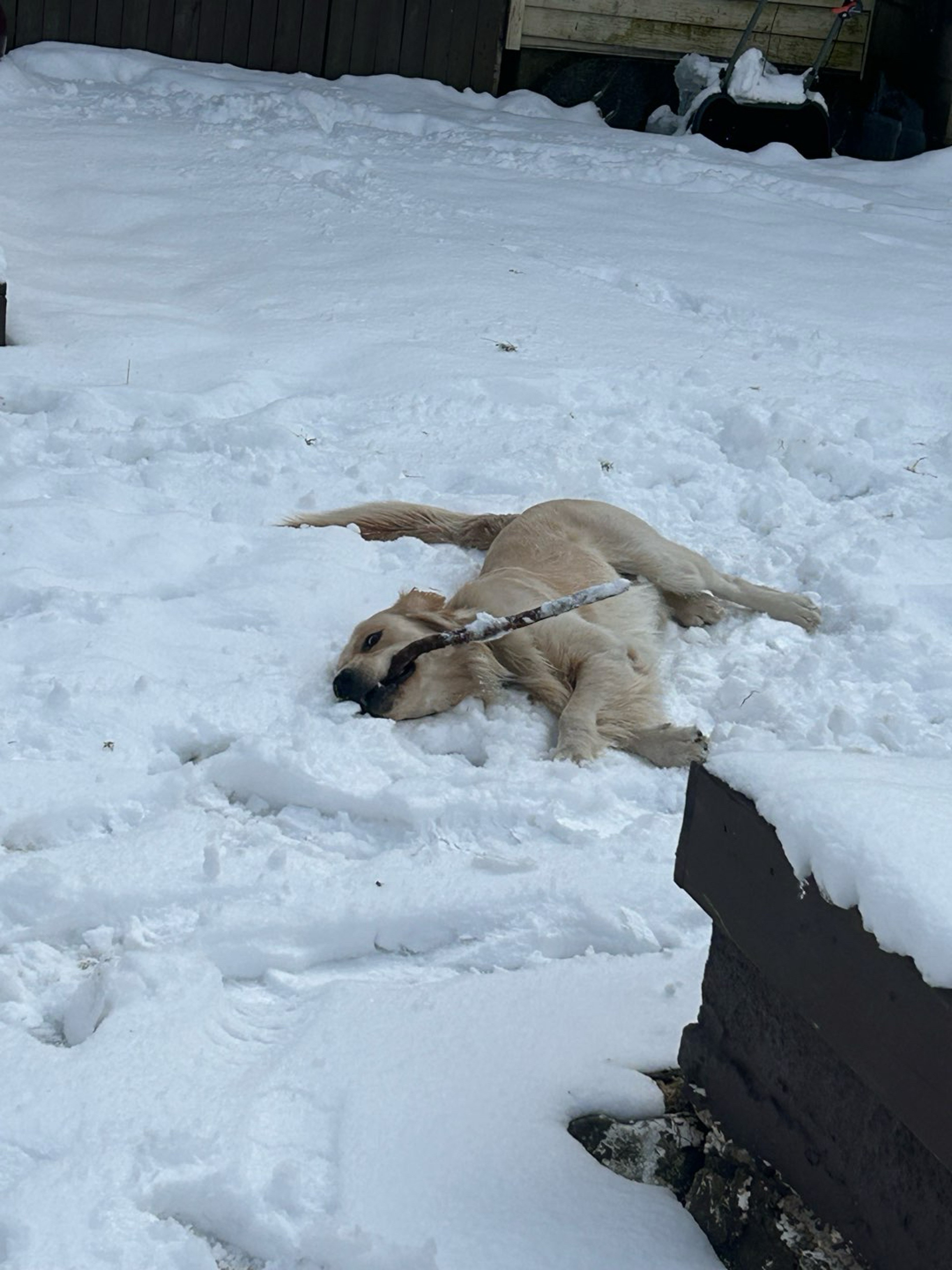 Preview pic of Frosted Sovereignty Slide