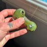 Small image 1