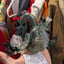 Small image 3