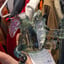 Small image 7