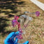 Small image 6