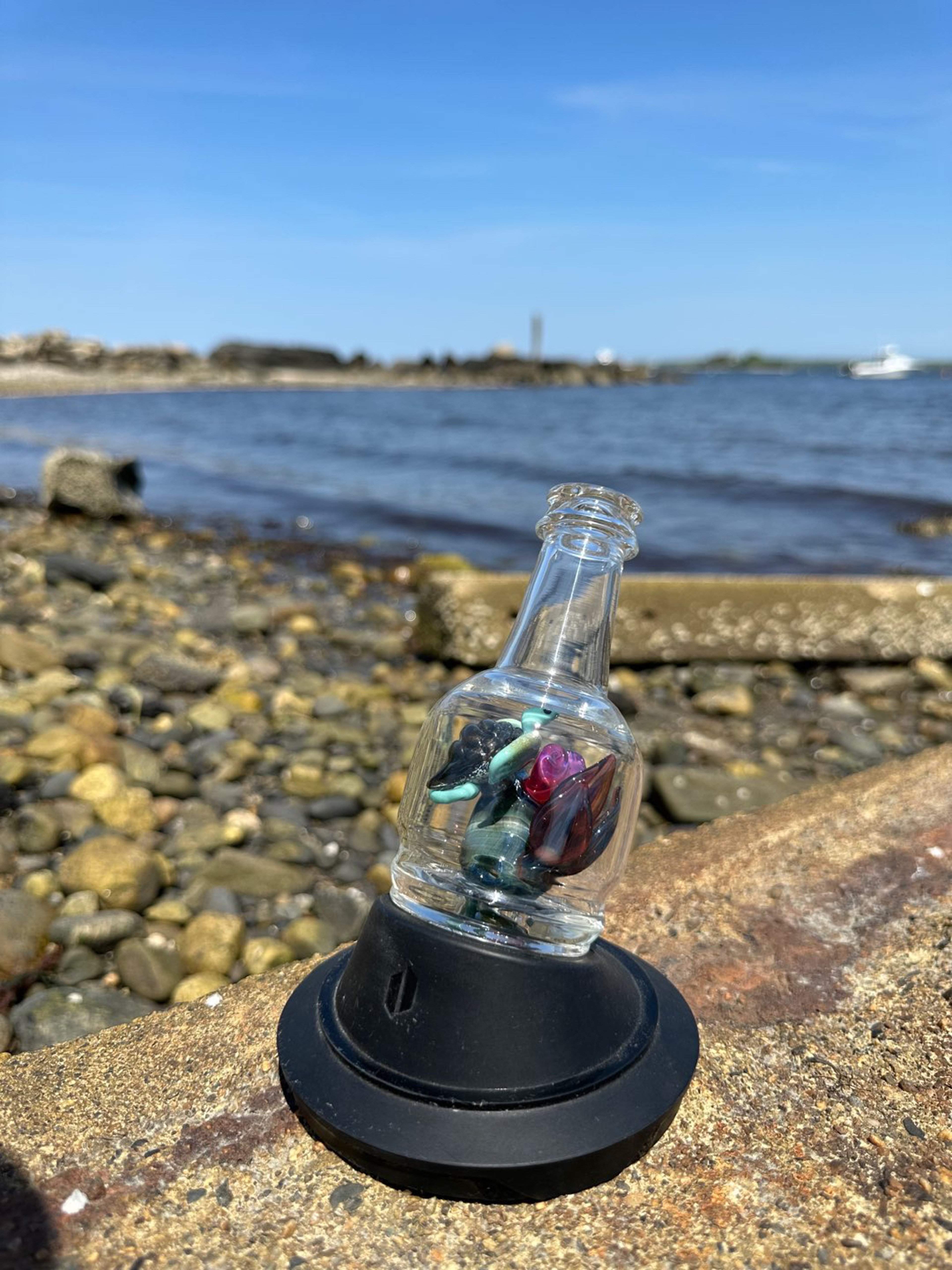 Preview pic of Reef in a Bottle Peak Dry Top