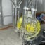 Small image 5
