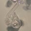 Small image 6