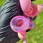Small image 6