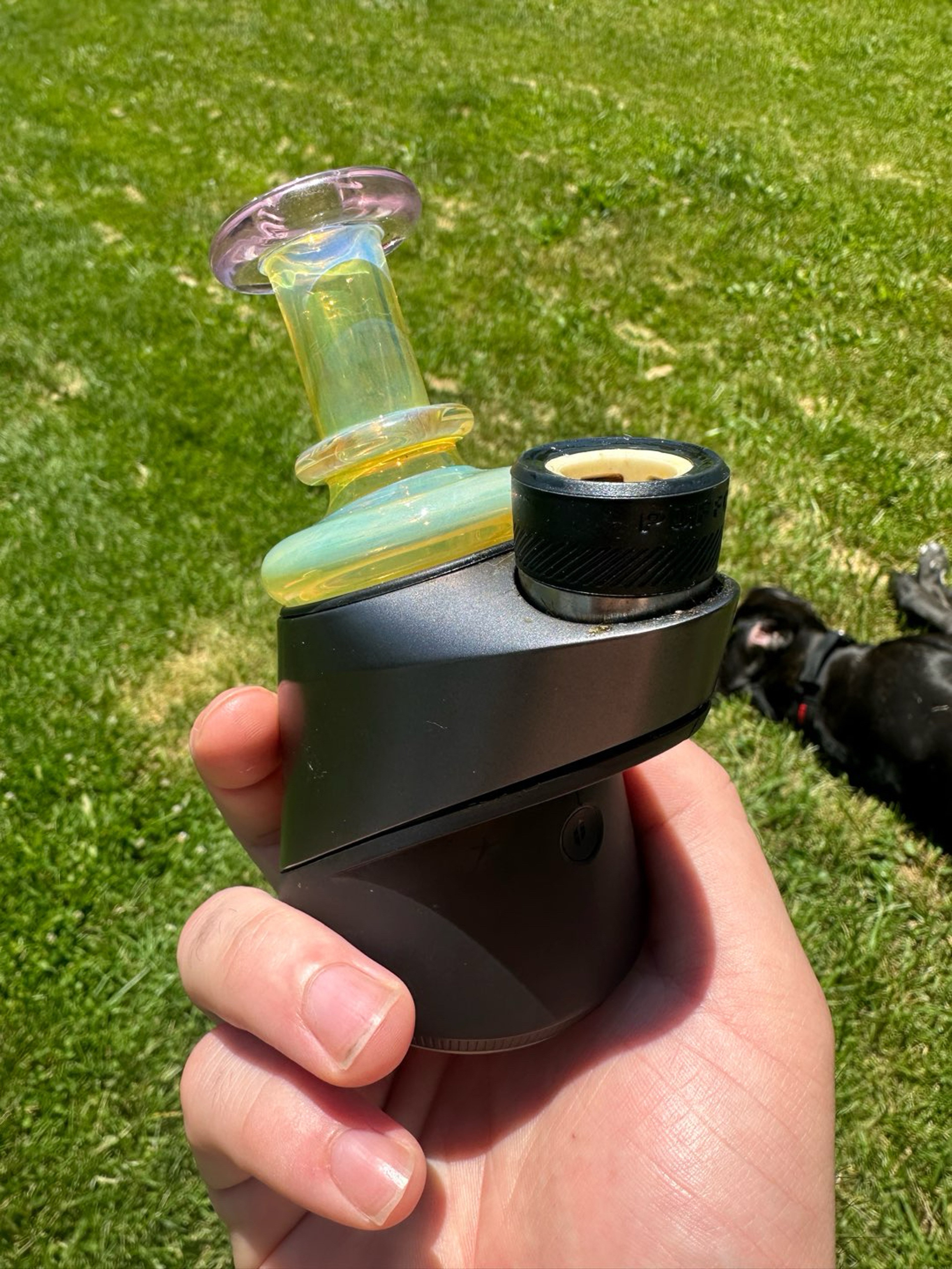 Preview pic of Puffco Peak Dry Top