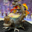 Small image 2