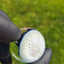 Small image 7