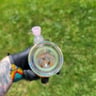 Small image 5