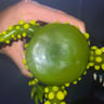 Small image 5