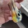 Small image 5