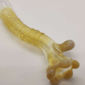 Small image 5