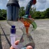 Small image 3