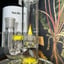 Small image 7
