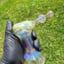 Small image 6