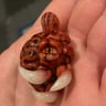 Small image 3