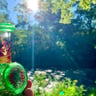 Small image 5