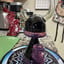 Small image 2
