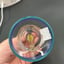 Small image 7