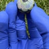 Small image 3