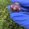 Small image 2