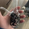Small image 2