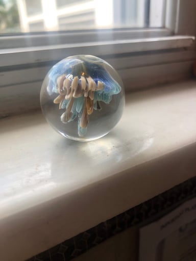 Preview pic of Jellyfish compression Marble