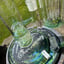 Small image 7