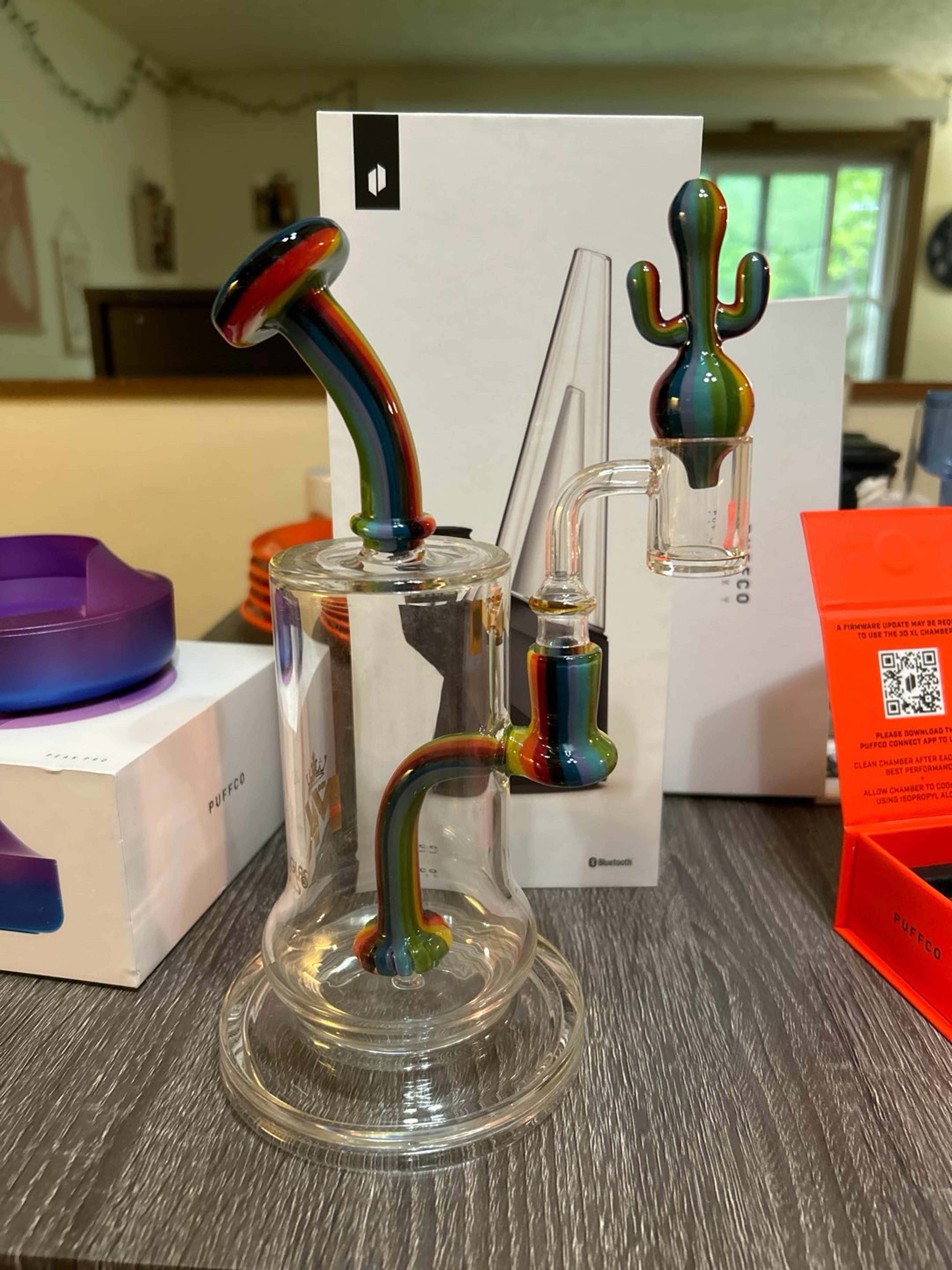 Preview pic of ARTIST BLOWN RAINBOW CACTI RIG