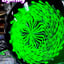 Small image 7