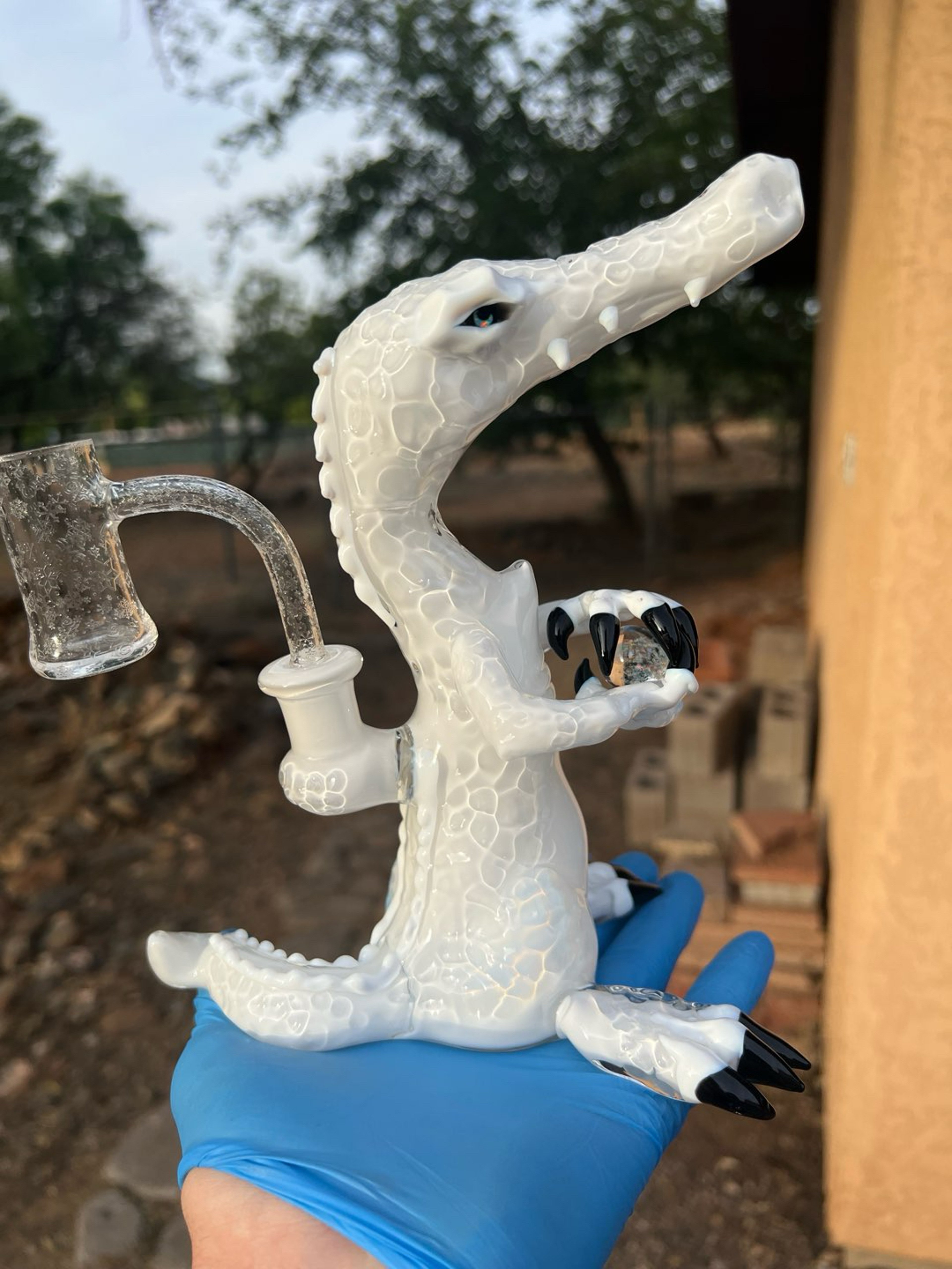 Preview pic of Albino Crocodile