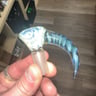 Small image 1