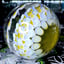 Small image 6