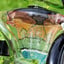 Small image 7