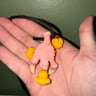 Small image 2
