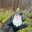 Small image 6
