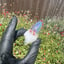 Small image 8