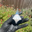 Small image 7