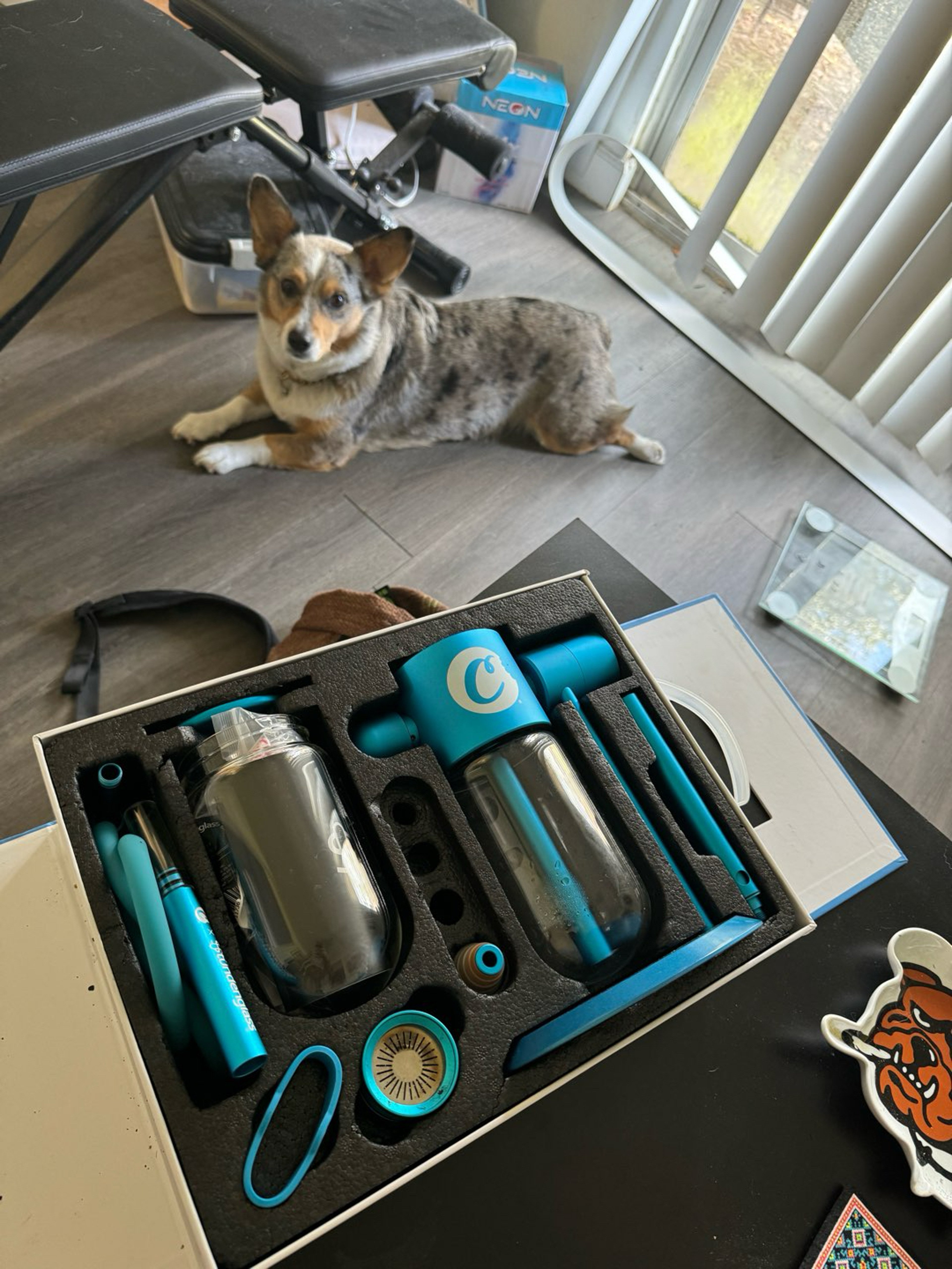 Preview pic of Cookies X Stundenglass Gravity Infuser