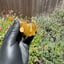 Small image 6