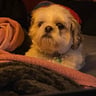 Small image 3