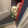 Small image 3