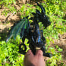 Small image 4