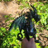 Small image 5